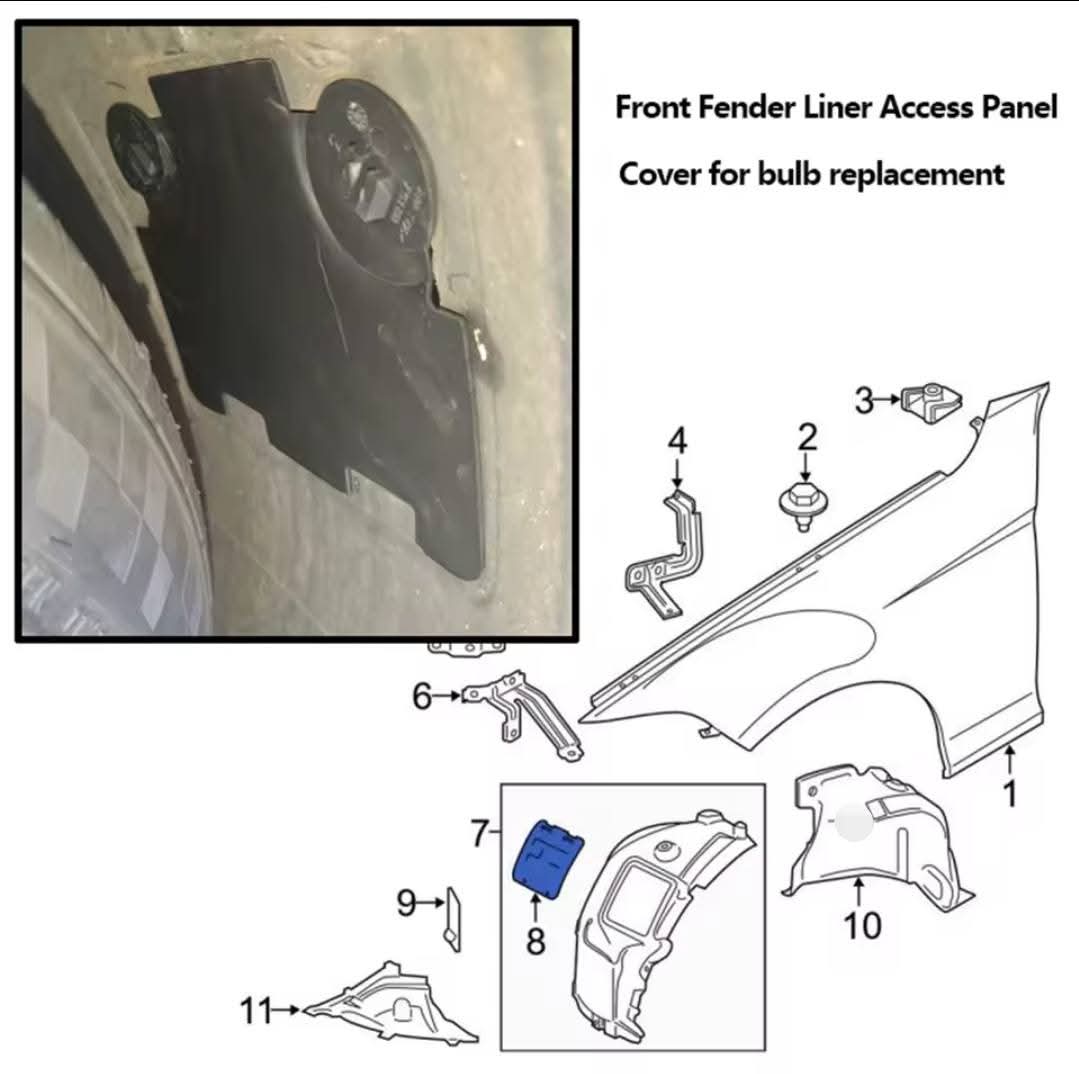 Fender Liner Bulb Cover