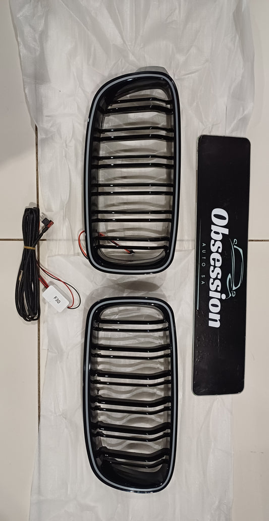 BM F30 Light Up Grill with Led